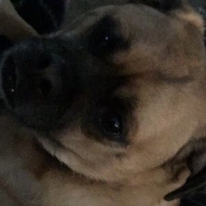 Meet your Posher, Ellen